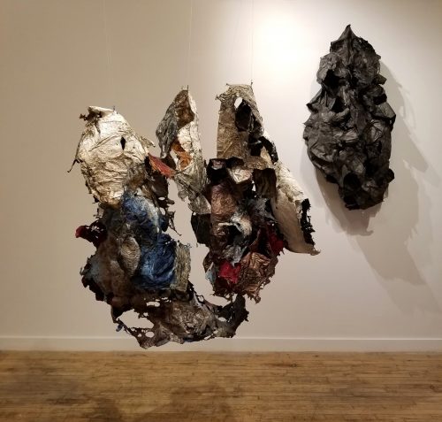 A picture containing wall, dog Description automatically generated