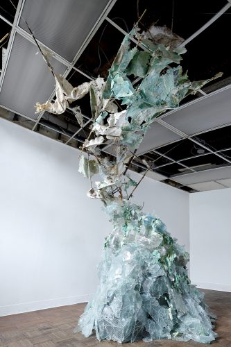 A picture containing indoor, floor, wall Description automatically generated