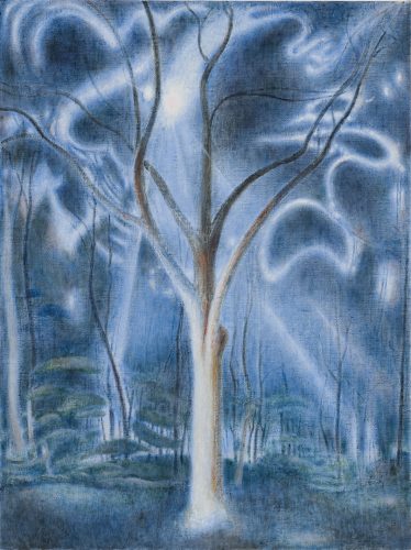 Macintosh HD:Users:patrickmccreery:Desktop:axisadjustedphotos:Jpegs_1240px:20200103_RMilewicz-008_1240px cropped.jpg