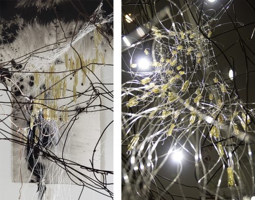 A close up of a nest Description automatically generated