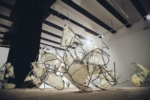 A picture containing indoor, sitting, small, dog Description automatically generated