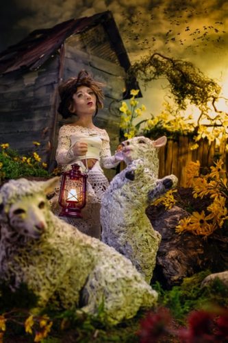 A picture containing sheep, standing, front, sitting Description automatically generated