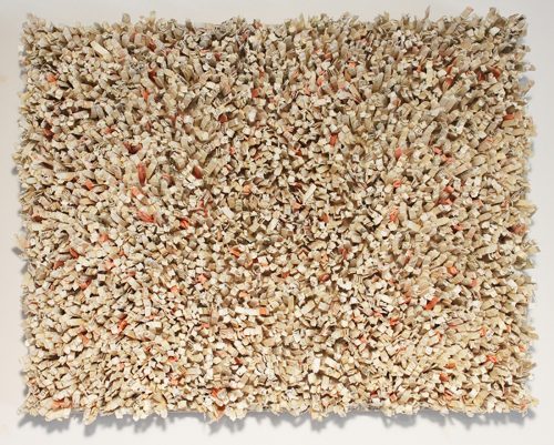 A picture containing food, fruit, rug Description automatically generated