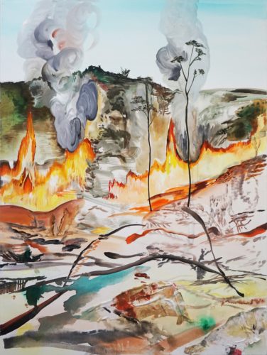 DW_Amazon Dreaming_2019.jpg