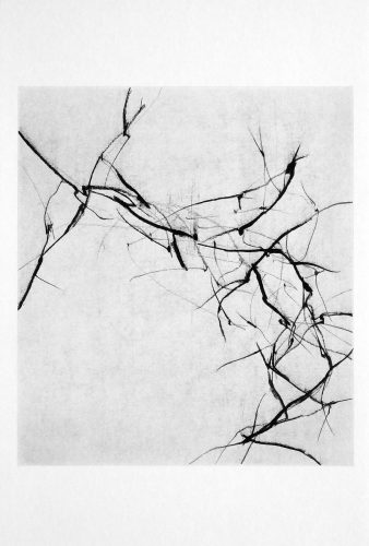 Macintosh HD:Users:tamarzinn:Desktop:ART SPIEL coping in the time of coronavirs :6 ZINN_ThereIsOnlyTheDance26 .jpg