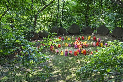 A garden with a tree in a forest Description automatically generated