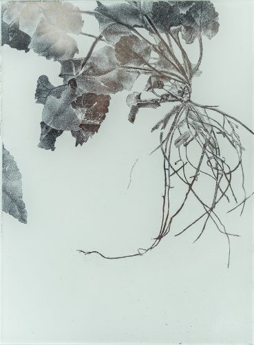 A picture containing drawing Description automatically generated