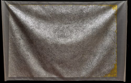 A picture containing sitting, table, flower, laying Description automatically generated