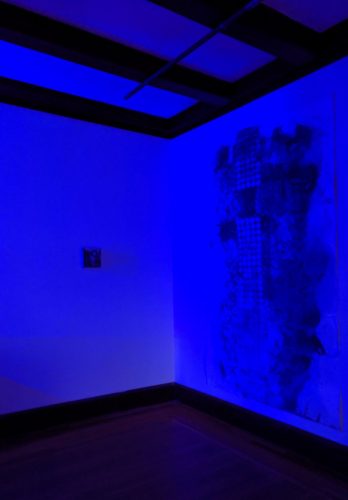::EHF 2020 exhibitions:CUE_SOLOS_2021:CUE Solos 2020_images and image list:Ellen Hackl Fagan_Immersed in Blue_documentation_2019_.jpg