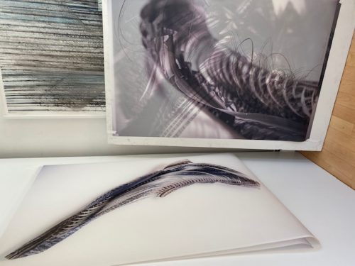 Macintosh HD:Users:Jaanika:Pictures:IMG_9592.jpg