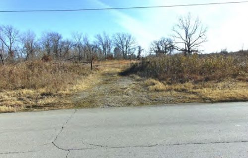 An empty road with grass and trees Description automatically generated