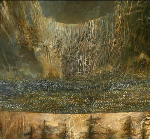 Shado-9 forest Detail