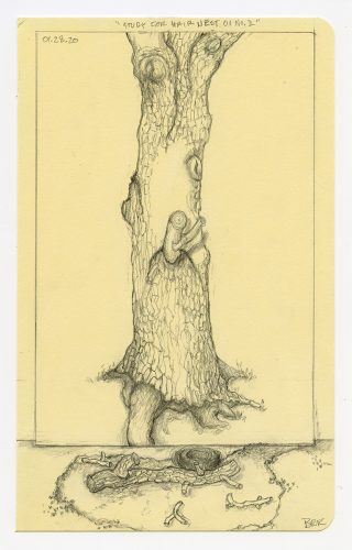 Macintosh HD:Users:babsreingold:Documents:• Babs_Art:Art_Interviews:Art_Interviews_EttyYanav:Images for Etty Interview:Hair_Nest_No_01_2asm.jpg