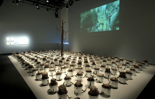 Macintosh HD:Users:babsreingold:Documents:• Babs_Art:Art_Interviews:Art_Interviews_EttyYanav:Images for Etty Interview:LastTree_7135sm1.jpg