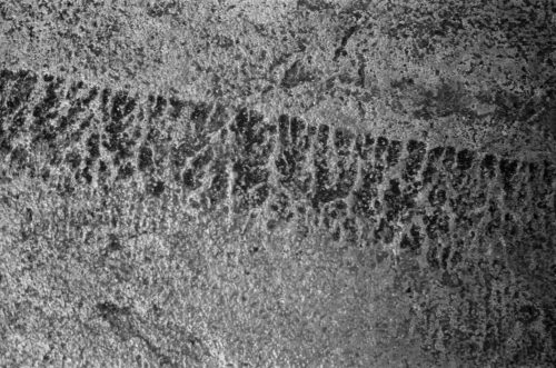 ../Documents/Shows%20:%20Studio%20Work/Spencer%20Brownstone/film%20installation%20shots%20bw/00009837%20edits/000098380025-small.j