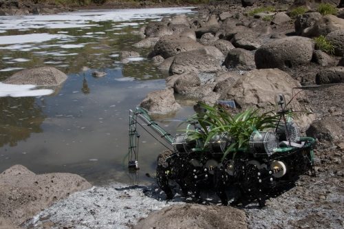 A picture containing outdoor, rock, nature Description automatically generated