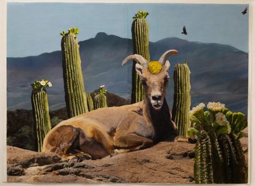 A picture containing text, laying Description automatically generated