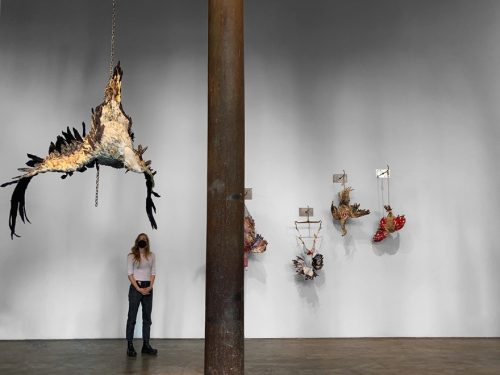 A person looking at a skeleton Description automatically generated with low confidence