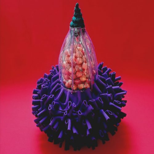 A picture containing flower, plant, poppy Description automatically generated