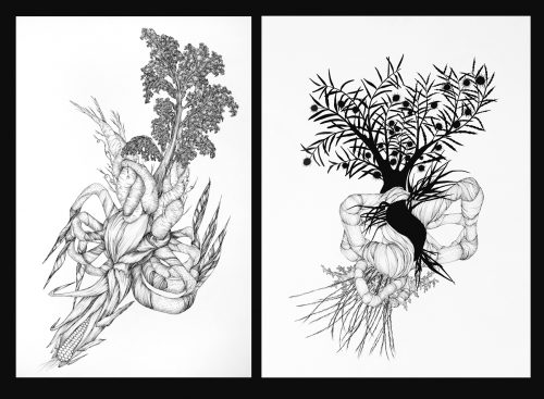 A picture containing text, plant Description automatically generated