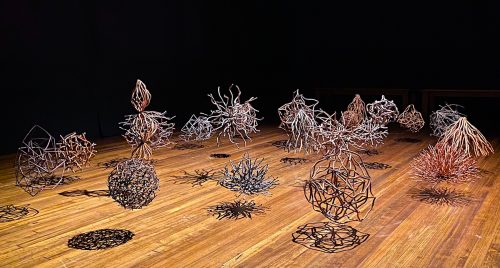 A group of pine cones on a table Description automatically generated with medium confidence