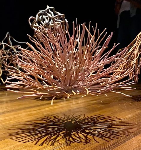 A picture containing text Description automatically generated