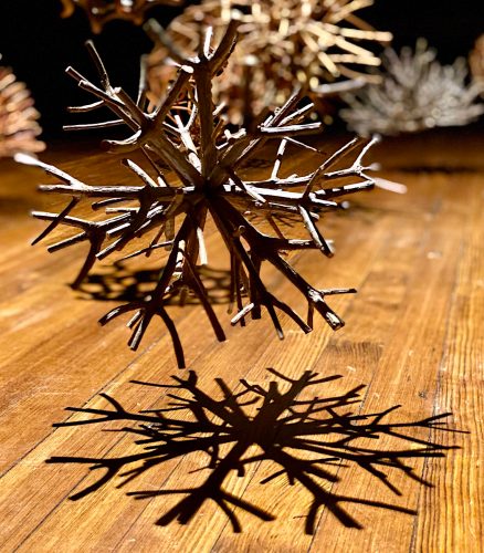 A picture containing wooden, plant Description automatically generated