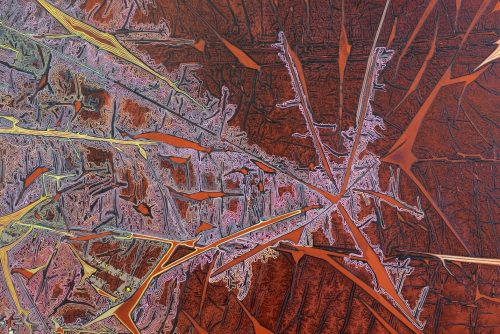 Map Description automatically generated