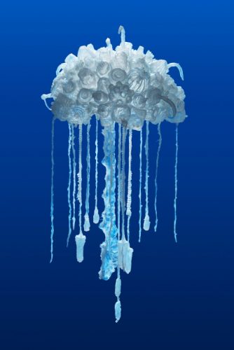 A group of jellyfish in the water Description automatically generated with low confidence