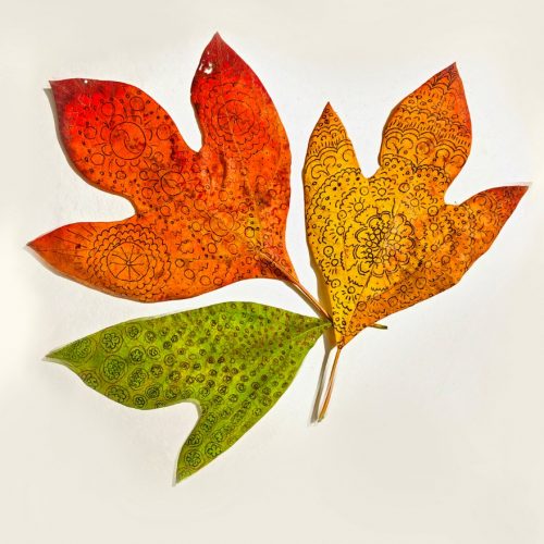 A few leaves on a white background Description automatically generated with low confidence