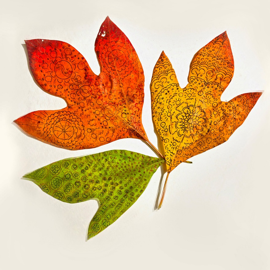 A few leaves on a white background

Description automatically generated with low confidence