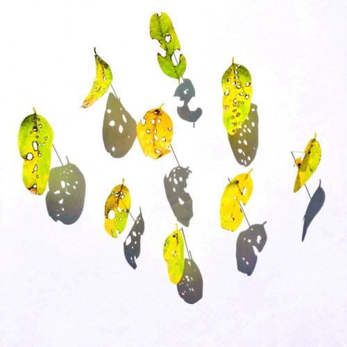 A picture containing several Description automatically generated