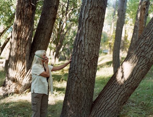 A person standing next to a tree Description automatically generated with low confidence