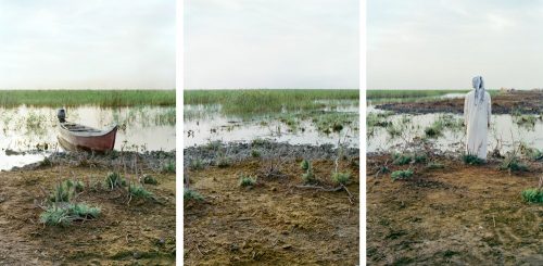 A picture containing grass, outdoor, dirt, area Description automatically generated