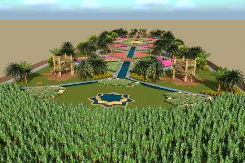 A picture containing plant, grass Description automatically generated