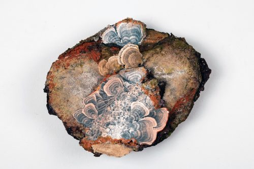 A picture containing plate, arranged Description automatically generated