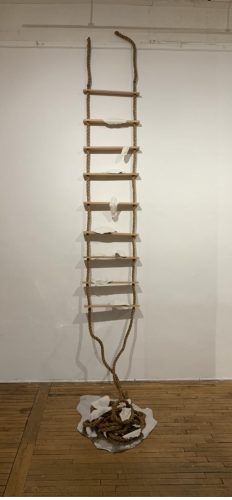 A picture containing wall, indoor Description automatically generated