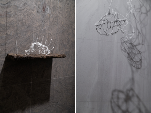 L: Skelton Shelf | R: Dehydrated Maritime Creatures