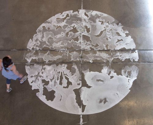 A picture containing floor Description automatically generated