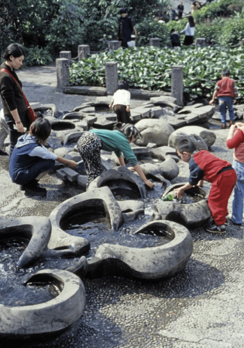 A picture containing outdoor, tree, ground, person Description automatically generated