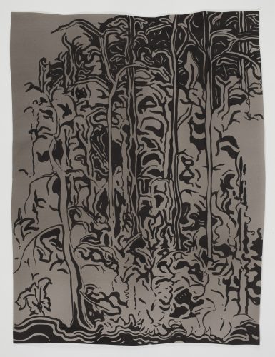 A picture containing text, fabric Description automatically generated