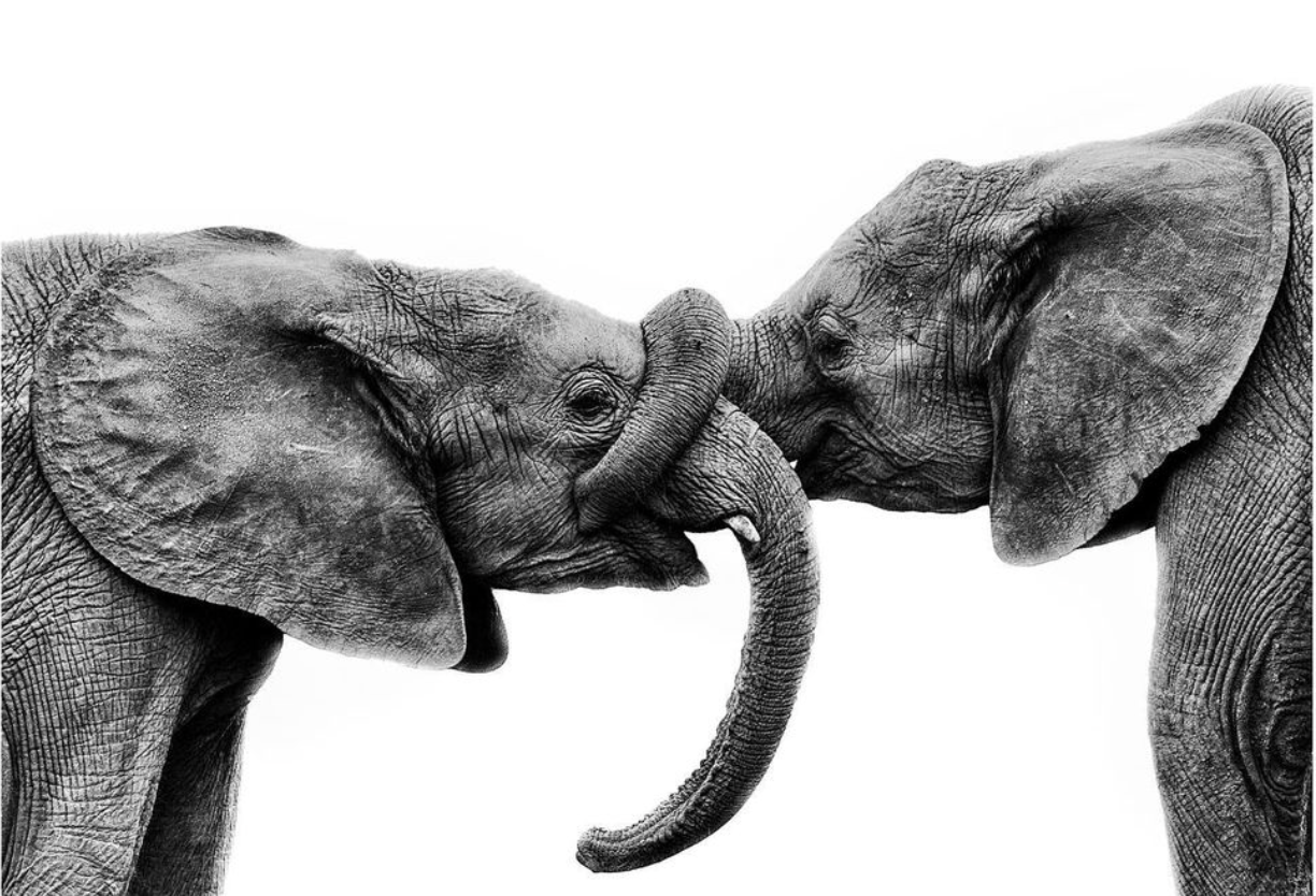 Macintosh HD:Users:alexandraisrael88:Downloads:Katerina Christina (photographer and artist).png