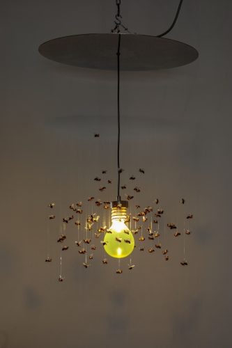 A picture containing wall, light Description automatically generated