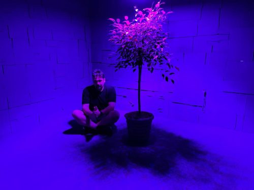 A person sitting next to a tree Description automatically generated with medium confidence