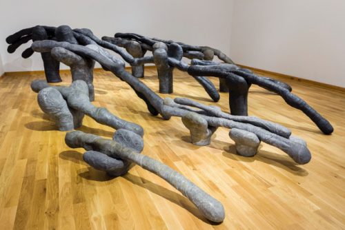 A picture containing floor, indoor, wooden, wood Description automatically generated