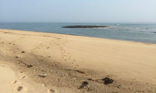 A sandy beach with footprints in the sand Description automatically generated