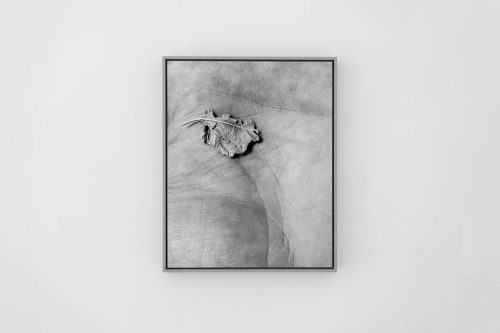 A black and white picture of a rock Description automatically generated