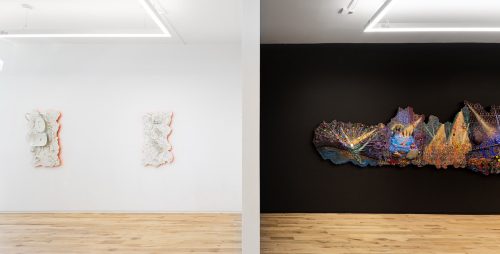 A room with a black wall and a wood floor Description automatically generated