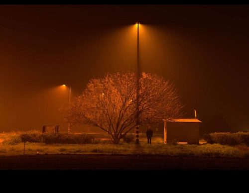 צילומי הלילה של אביב קוץ