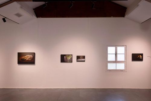 Photos from Osnat Ben Dov's exhibition "Shadow of a Passing Bird" at Kibbutz Be'eri, before the attack.